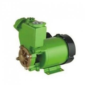  A2FO12/61L-PZB06 Rexroth A2FO Series Piston Pump imported with  packaging Original