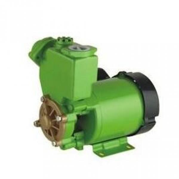 510865312	AZPGG-22-080/063LDC0707KB-S0081 Rexroth AZPGG series Gear Pump imported with packaging Original #2 image